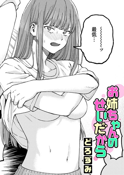 お姉ちゃんのせいだから hitomi