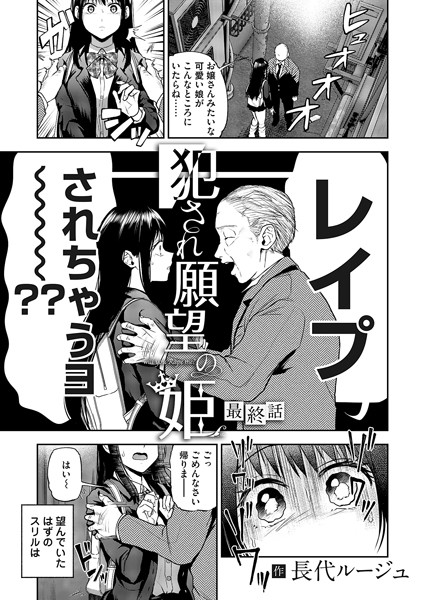 犯●れ願望の姫 最終話 hitomi