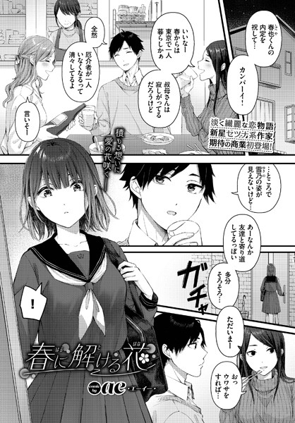 春に解ける花 hitomi