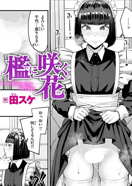 檻に咲く花 hitomi