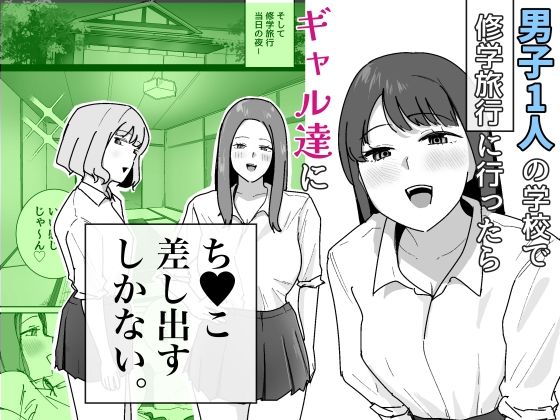 男子1人の元女子校で修学旅行に行ったらギャル達にち○こ差し出すしかない hitomi