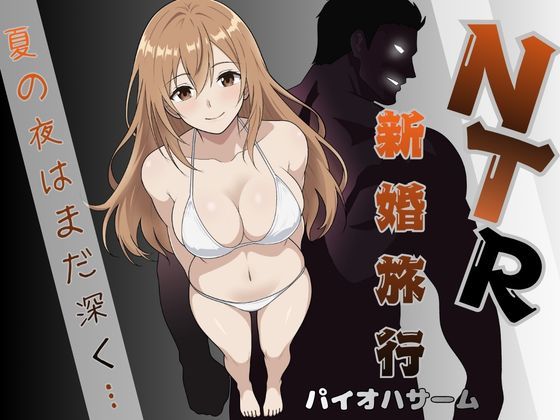 NTR新婚旅行〜夏の夜はまだ深く…〜 hitomi