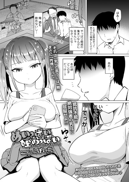 めいっぱい姪おっぱい hitomi