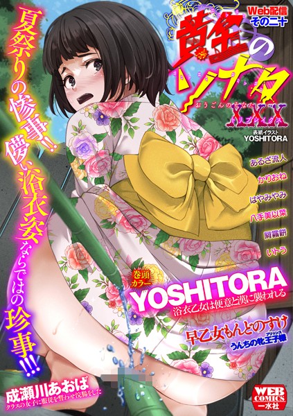 黄金のソナタXXXその二十 hitomi
