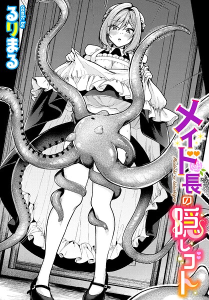 メイド長の隠しゴト hitomi