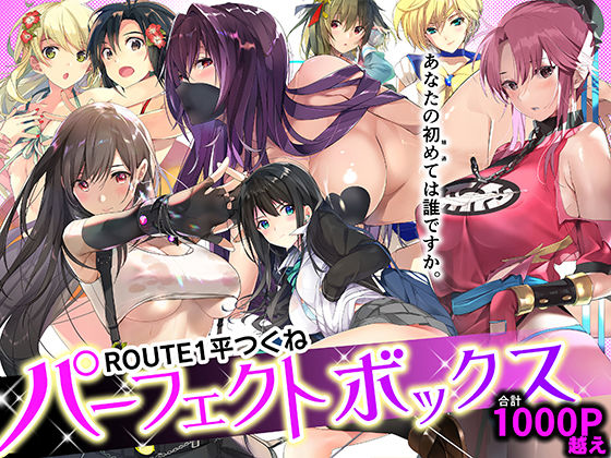 ROUTE1 平つくね パーフェクトボックス hitomi