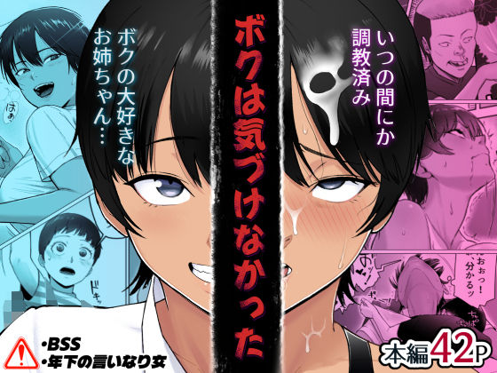 ボクは気づけなかった hitomi