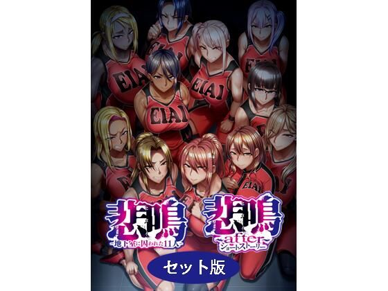 悲鳴 〜after〜 ショートストーリー セット版 hitomi