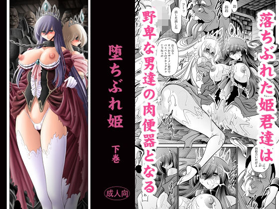 堕ちぶれ姫  下巻 hitomi