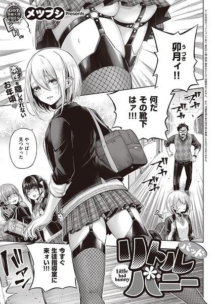 リトルバッドバニー hitomi