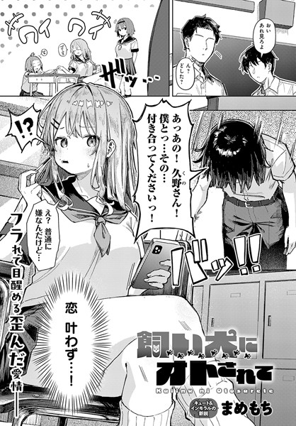 飼い犬にオトされて hitomi